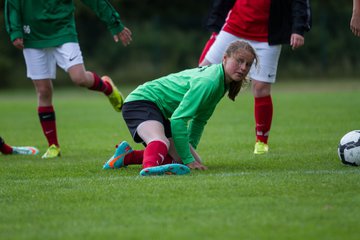 Bild 18 - C-Juniorinnen Landesmeister Finale SV Wahlstedt - TuRa Meldorf : Ergebnis: 1:4